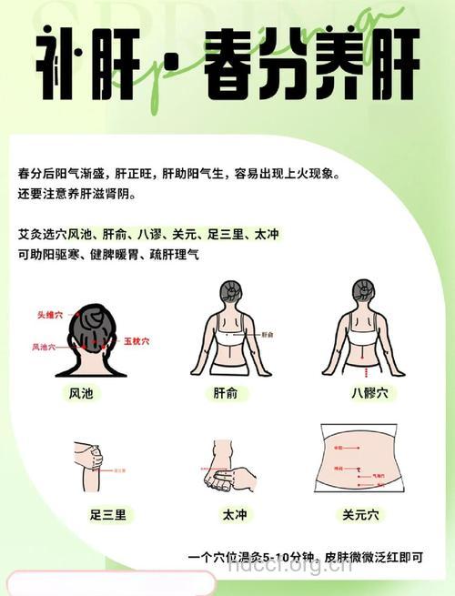 春季养生的两大“要穴”
