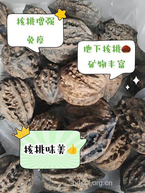 地核桃的功效与作用
