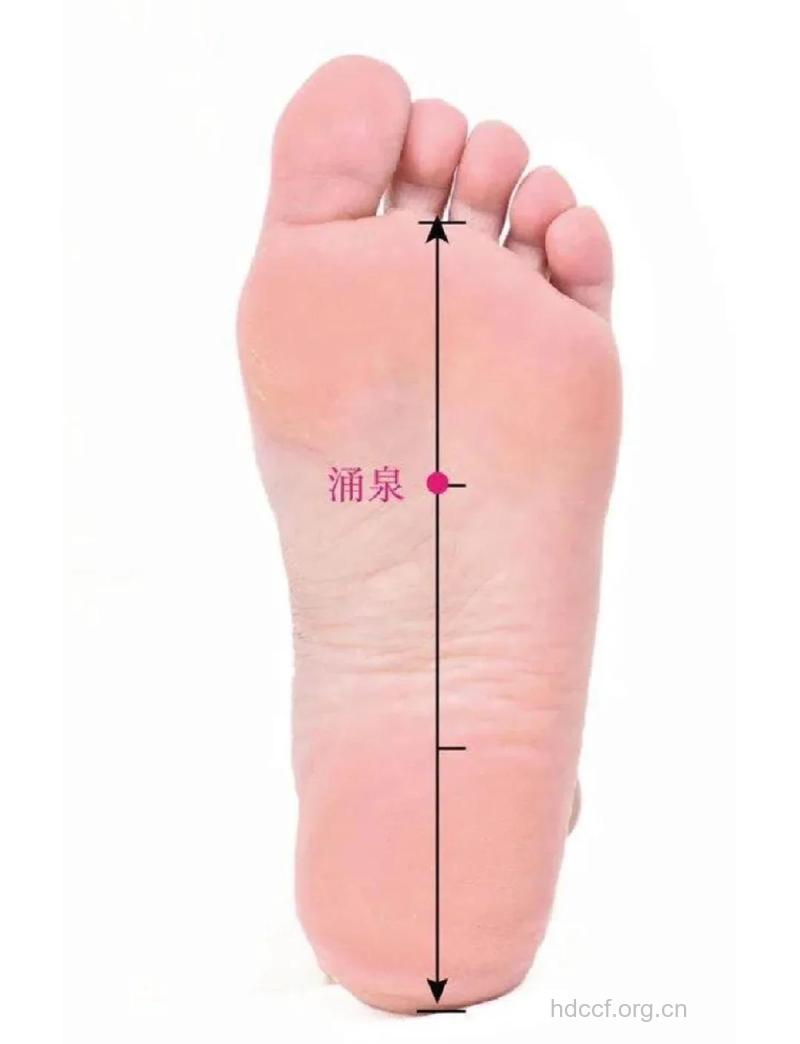 春季老人宜多按涌泉穴