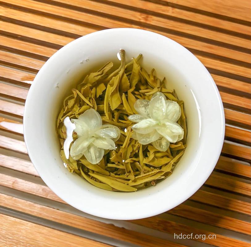 初春茶养生 首选茉莉花