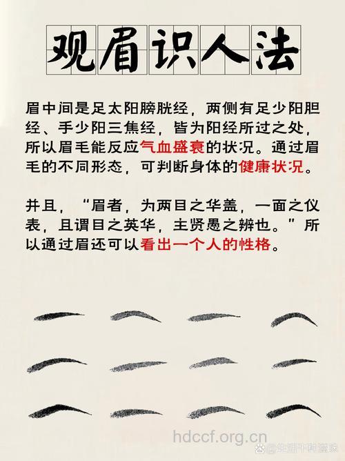 从眉毛看身体气血与否健康