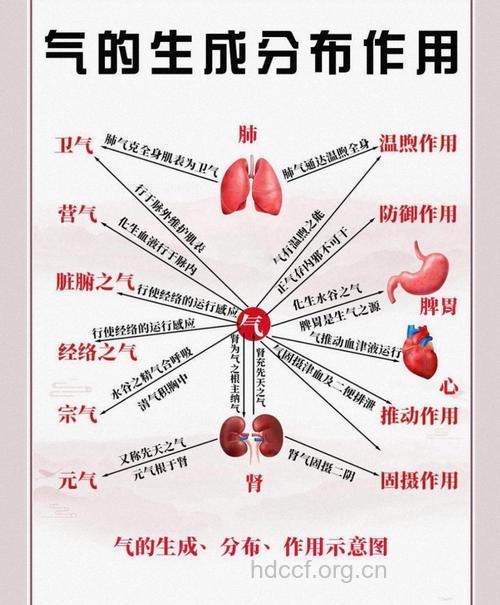 中医释疑：中气是什么？