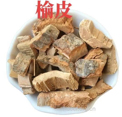 刺榆皮的功效与作用