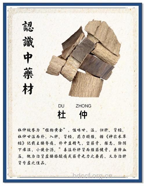杜松实的功效与作用