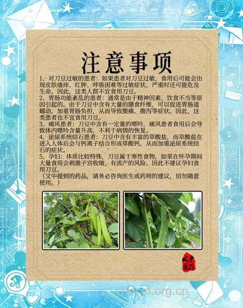 刀豆根的功效与作用