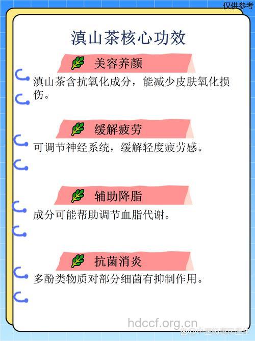 滇山茶的功效与作用