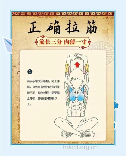 疏通经络 选拉筋法养生