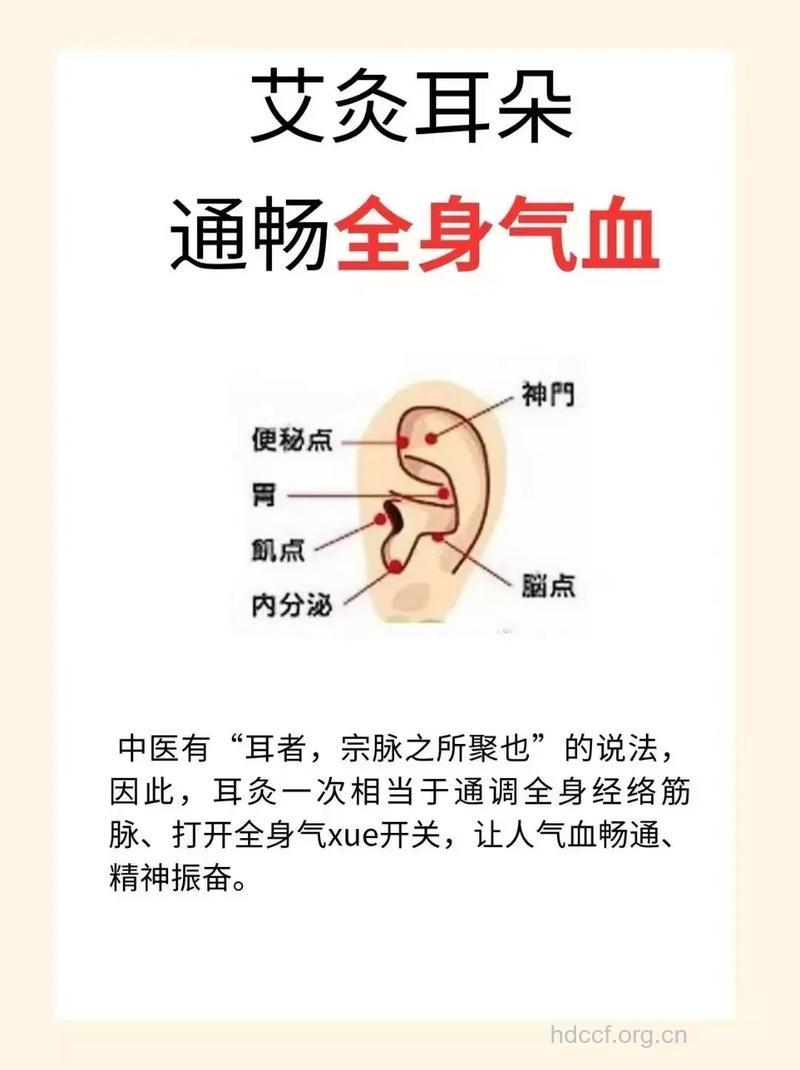 耳朵养生派的中医保养方