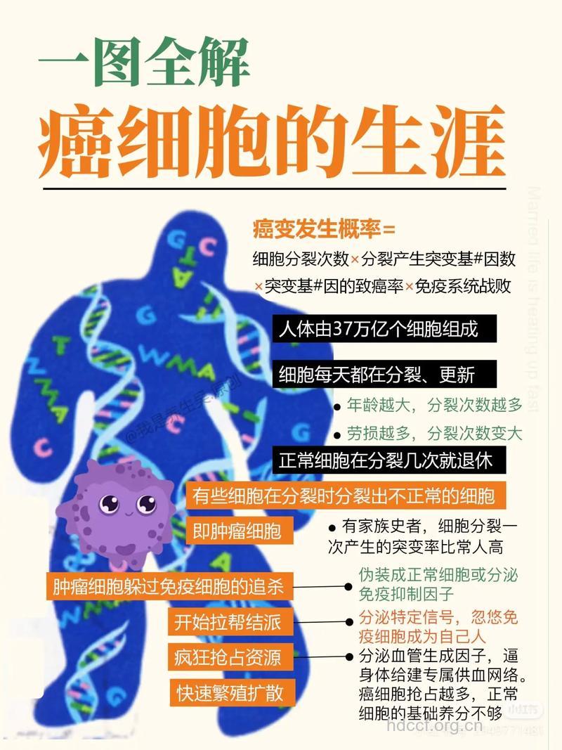 癌细胞生长与什么有关呢