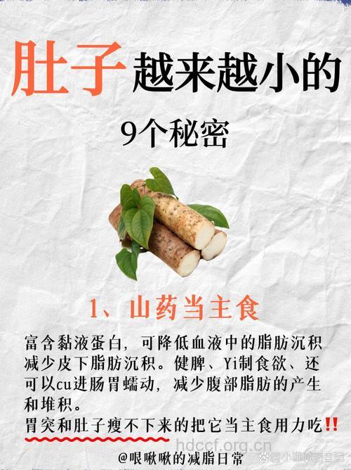 虎肚的功效与作用