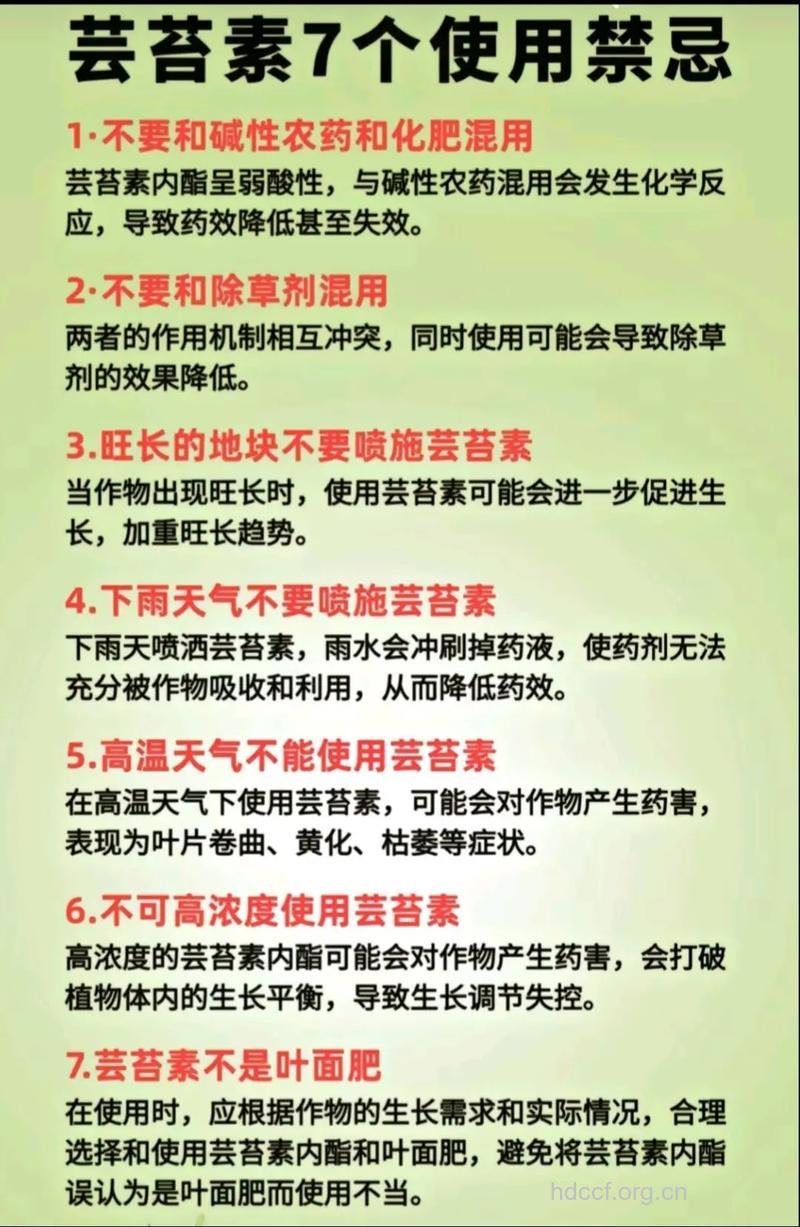 芸苔的功效与作用