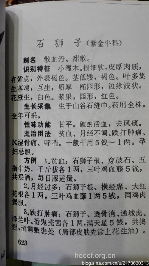 血党的功效与作用