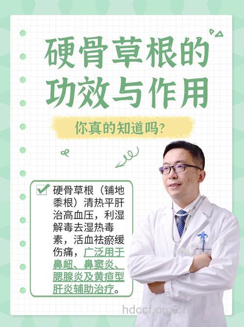 铺地黍的功效与作用