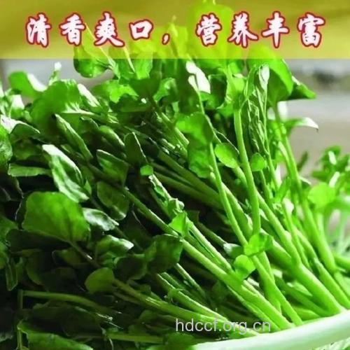 水豆瓣的功效与作用