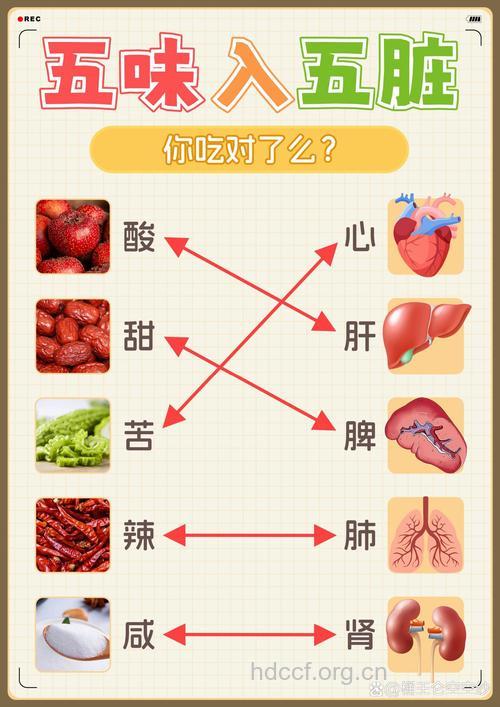解析酸甜苦辣咸的脏腑功效