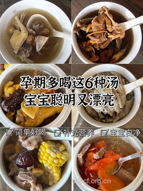 推荐：孕妇鸡汤食谱大全