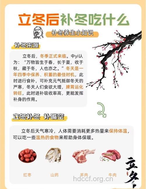 冬令进补从何开始?