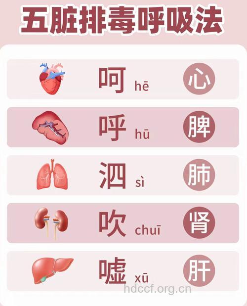 节后必知的八个五脏排毒法