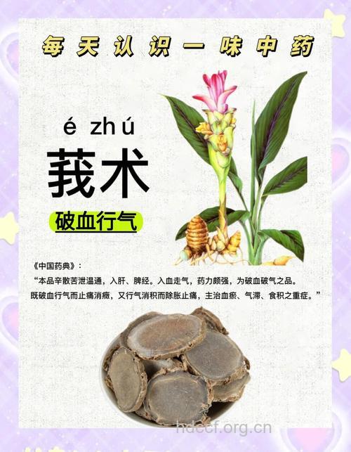 蓬莪术的功效与作用