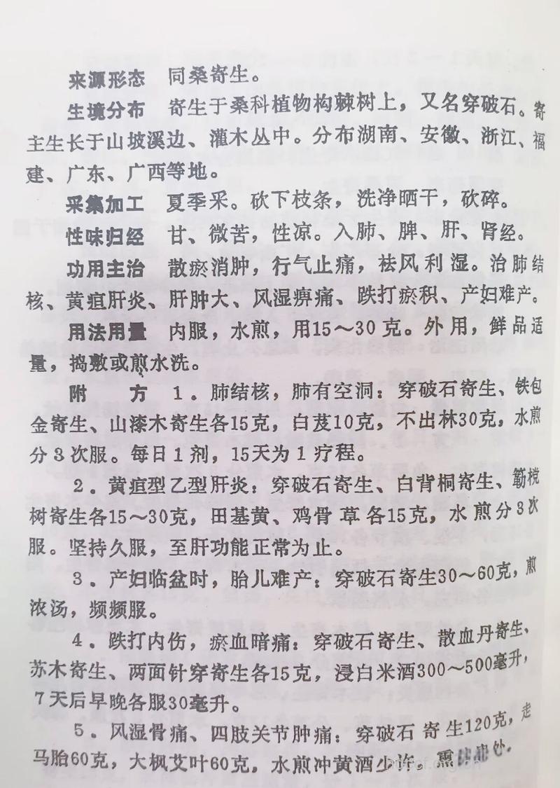 石寄生的功效与作用