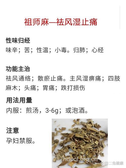 祖师麻的功效与作用