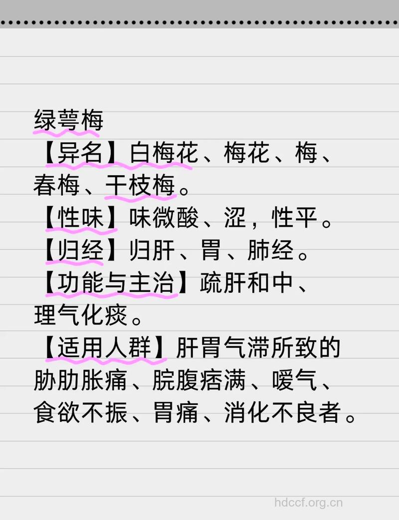 绿萼梅的功效与作用