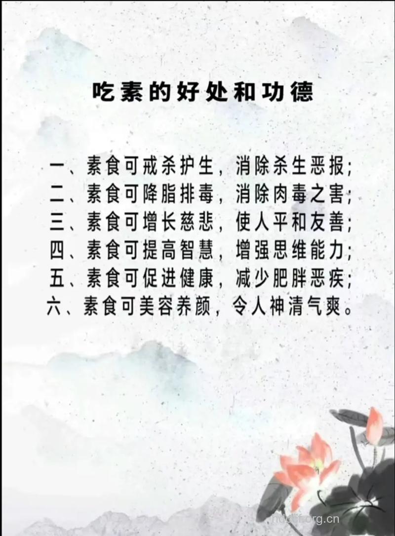 中医养生 素食未必助长寿
