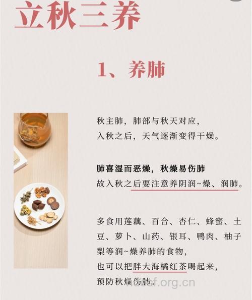 中医推荐 秋季排毒正当时