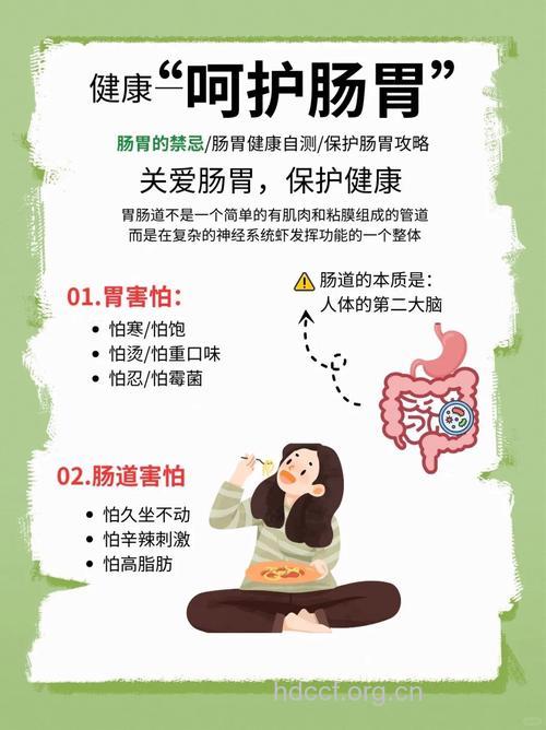 白领养生 肠胃保养很重要