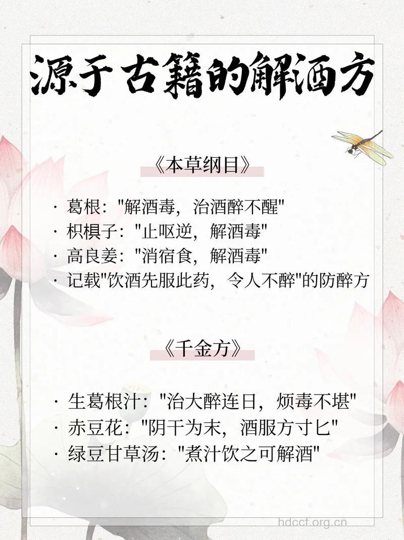 中医推荐 醒酒有良方