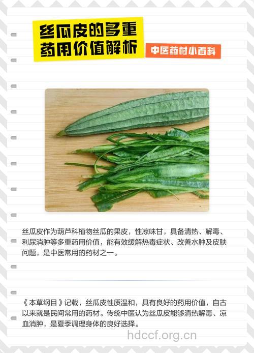 丝瓜皮的功效与作用