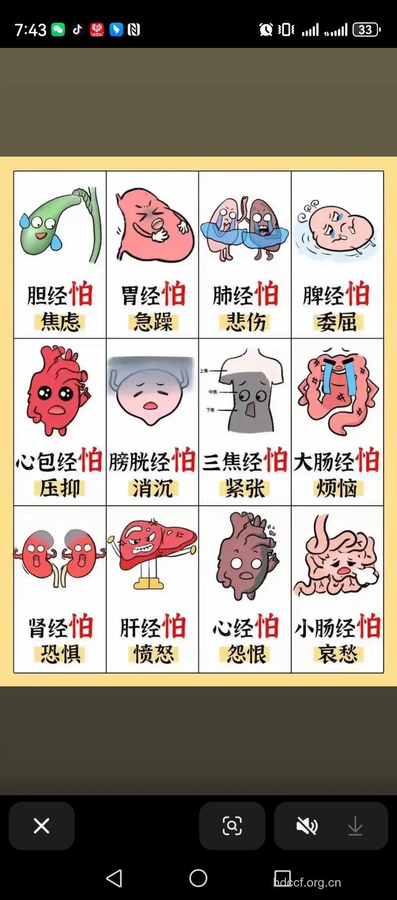 不良情绪更易患肿瘤吗