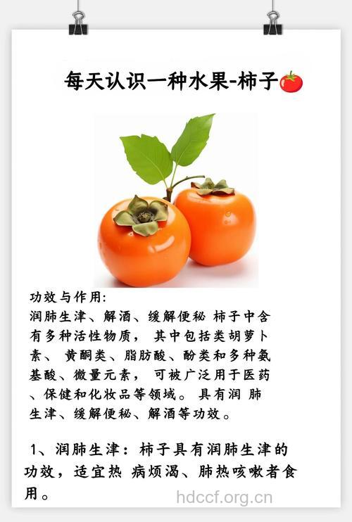 柿的功效与作用