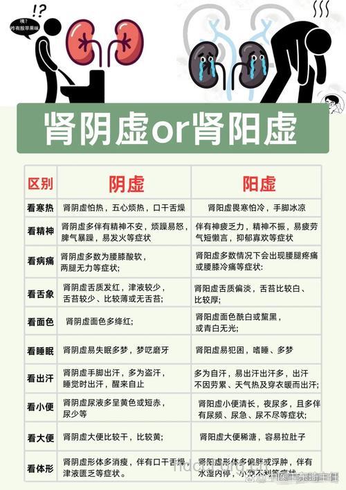肾阳虚和肾阴虚的具体区别?