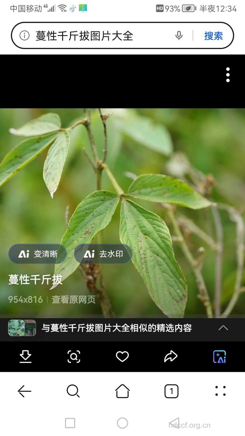 钻地风的功效与作用