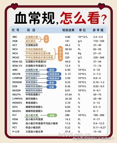 血常规检查能查出什么疾病？