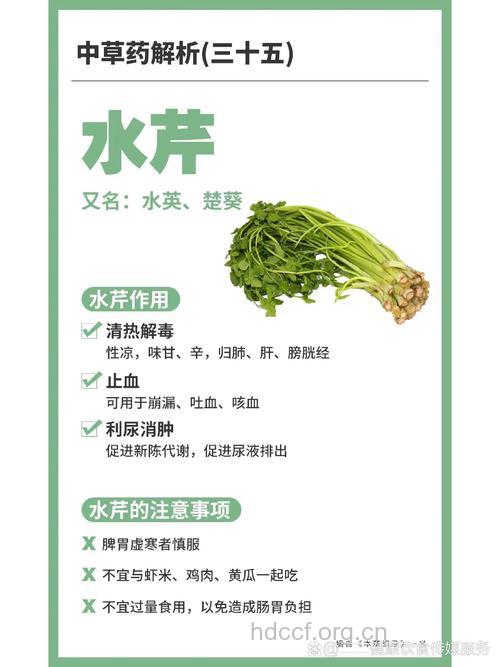 水芹的功效与作用