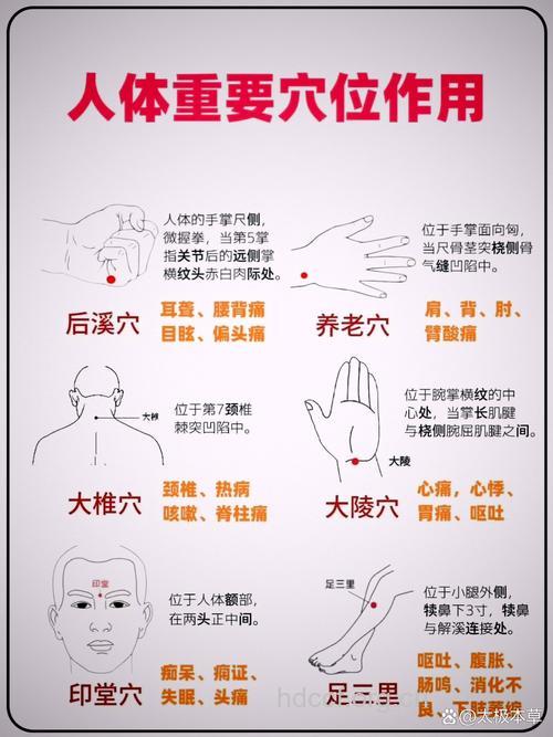 穴位按摩 远离亚健康