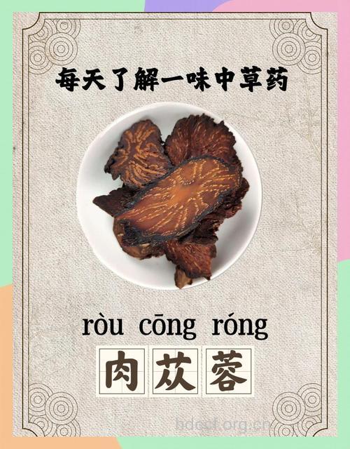 推荐 十种抗衰中药的真面目