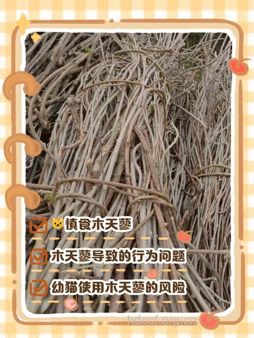 木天蓼根的功效与作用