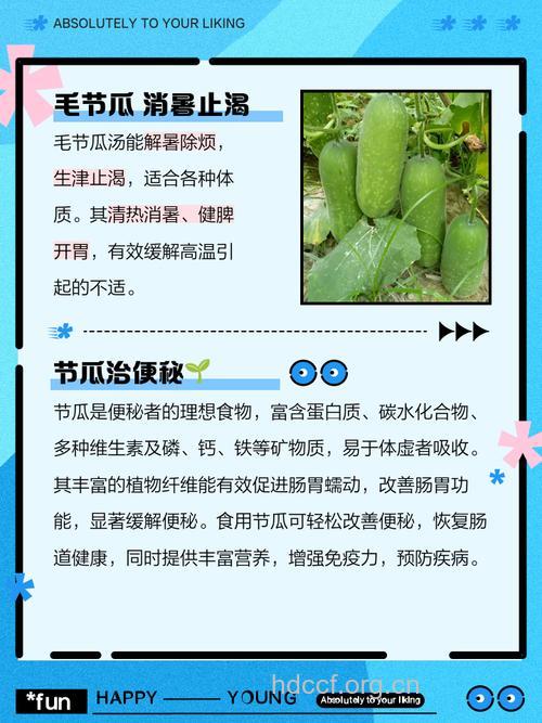 节瓜的功效与作用