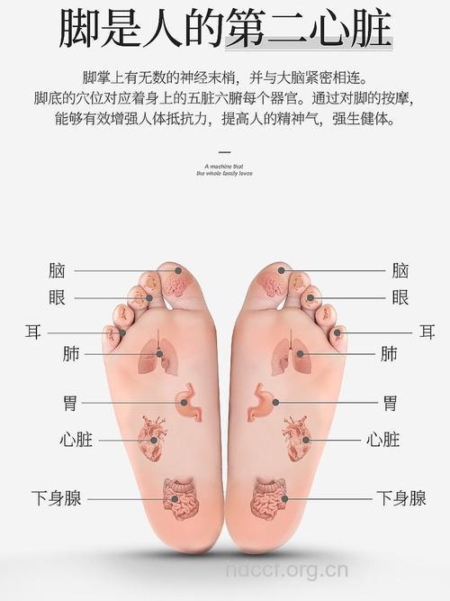 促进血液流动 做脚底按摩的3个好处