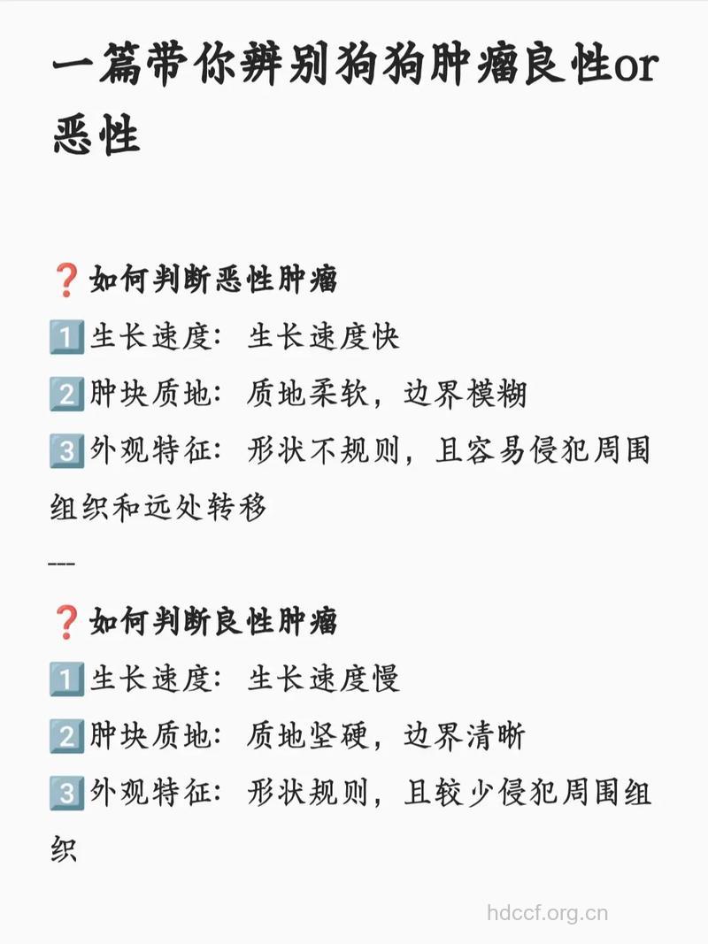 怎么区别诊断良恶性肿瘤