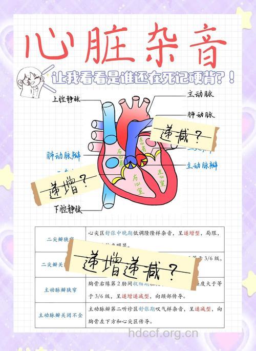 体检发现心脏有杂音 原因竟然是这样