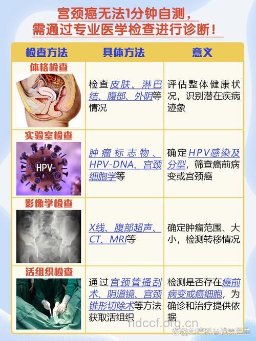 怎么早期发现宫颈癌