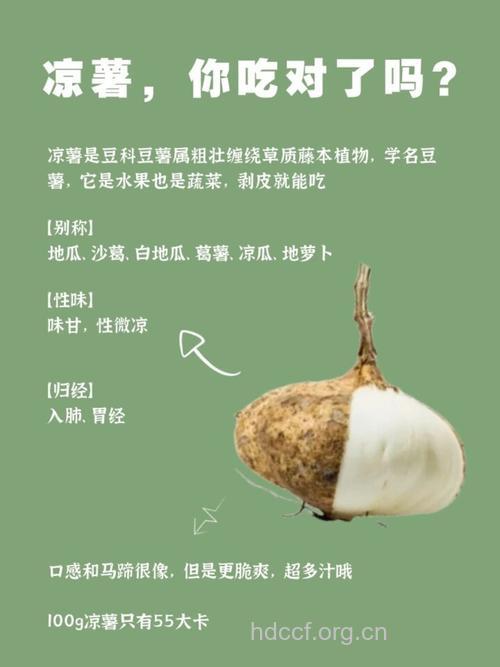 凉薯的功效与作用