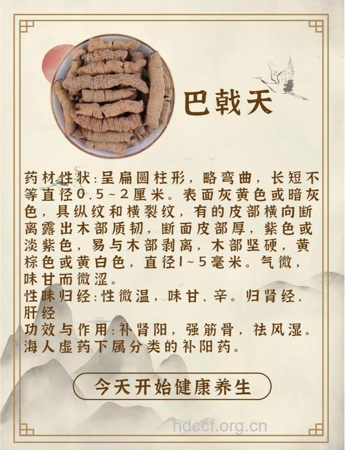 橘叶巴戟的功效与作用