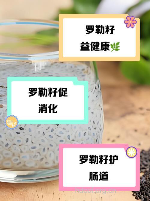 罗勒子的功效与作用