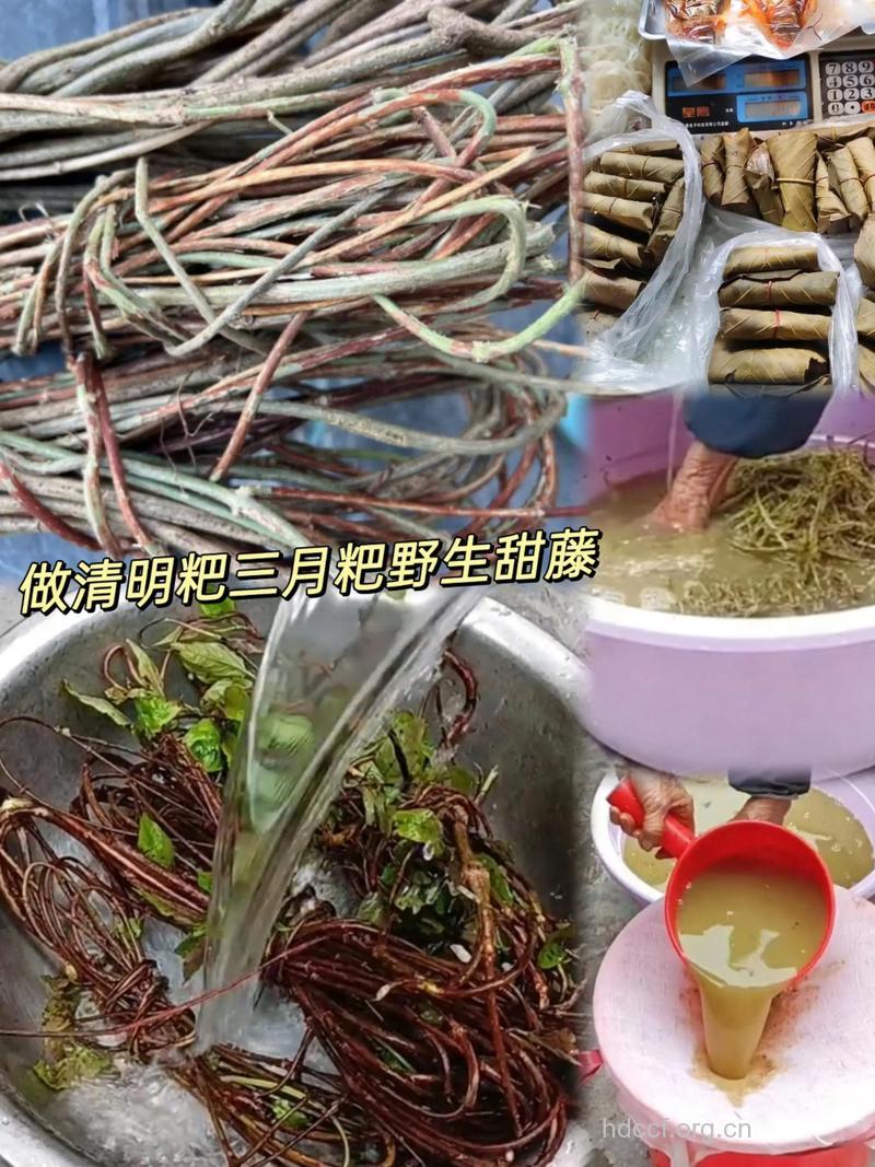 甜果藤的功效与作用
