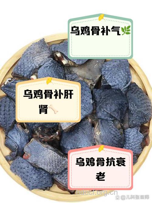 乌骨鸡的功效与作用